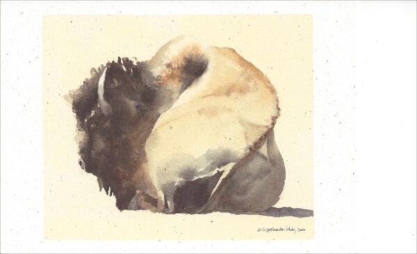VN907 New Moon Bison Notecard