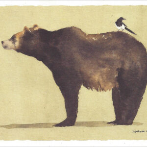 VN 908 Magpie Lookout Notecard