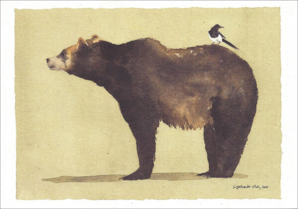 VN 908 Magpie Lookout Notecard