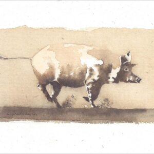 VN926 Day Dance-Pig Notecard