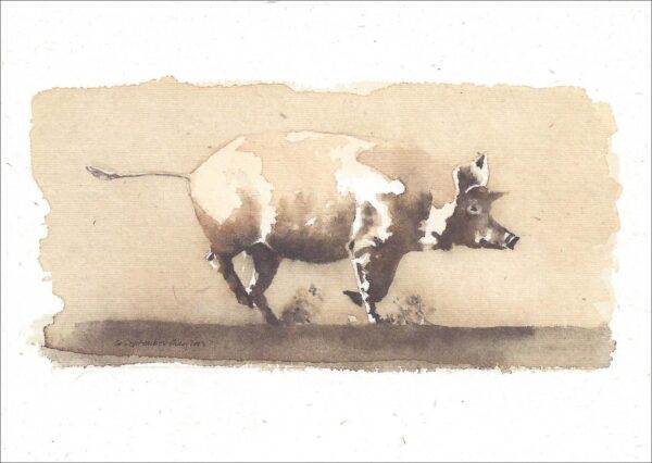 VN926 Day Dance-Pig Notecard