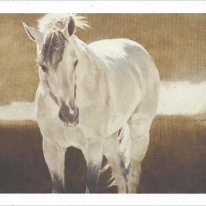 VN927 Dream Walker's Dream - Horse