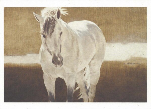VN927 Dream Walker's Dream - Horse