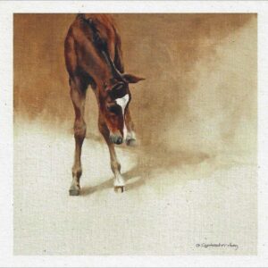 VN933 Vision's Bright - Horse Notecard