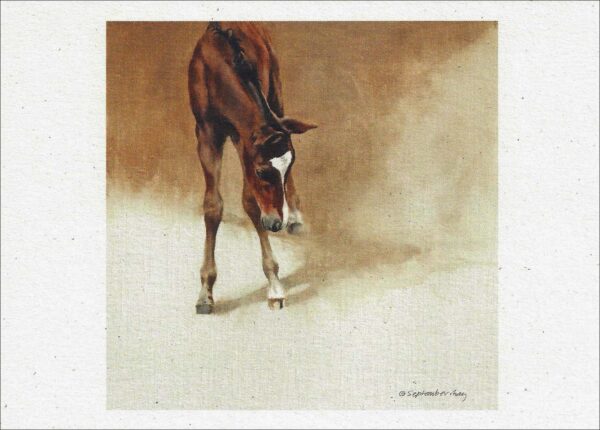 VN933 Vision's Bright - Horse Notecard