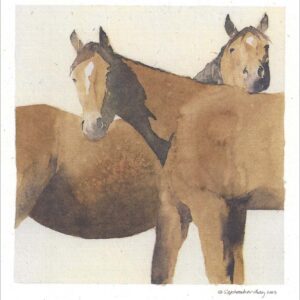 VN935 Namaste - Horse Notecard