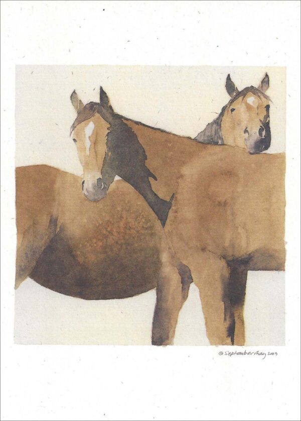 VN935 Namaste - Horse Notecard