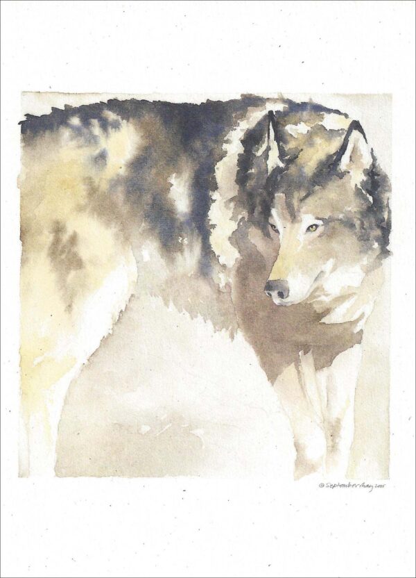 VN952 El Lobo - Wolf Notecard