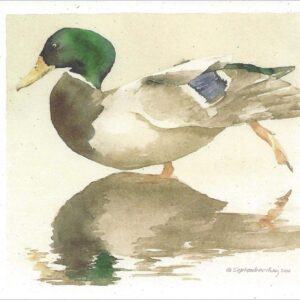 VN962 Mallard Notecard