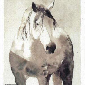 VN973 Triangle X Dapple - Horse Notecard