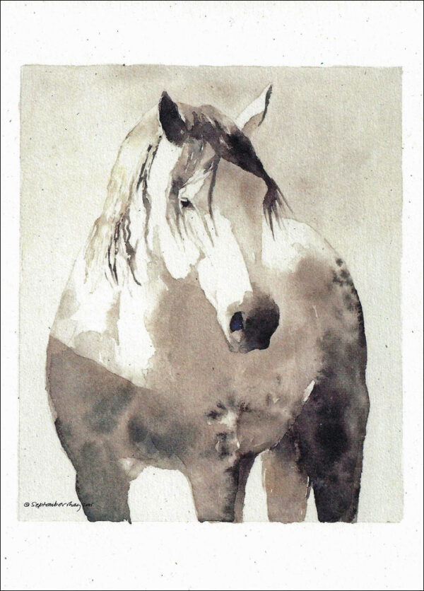 VN973 Triangle X Dapple - Horse Notecard