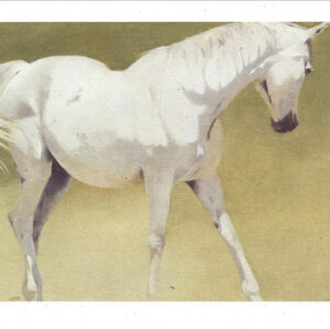 VN982 Mercury Dance - Horse Notecard