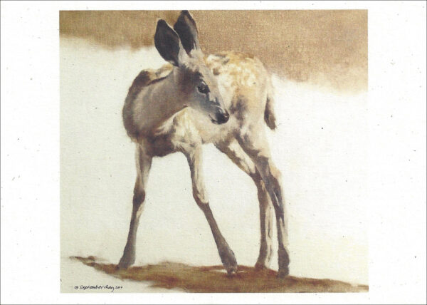 VN988 Fall Glory - Mule Deer- Notecard