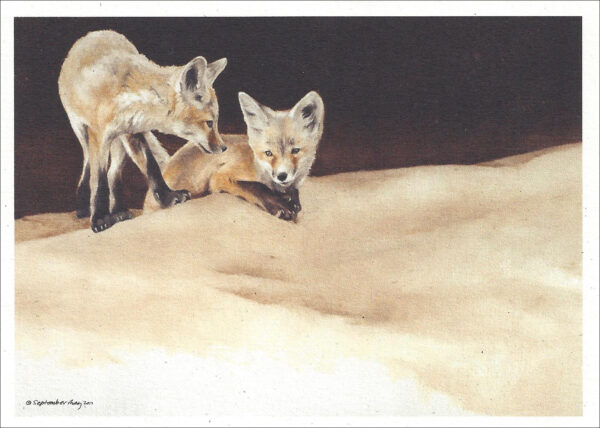 VN990 Sunday's Play - Red Fox - Notecard