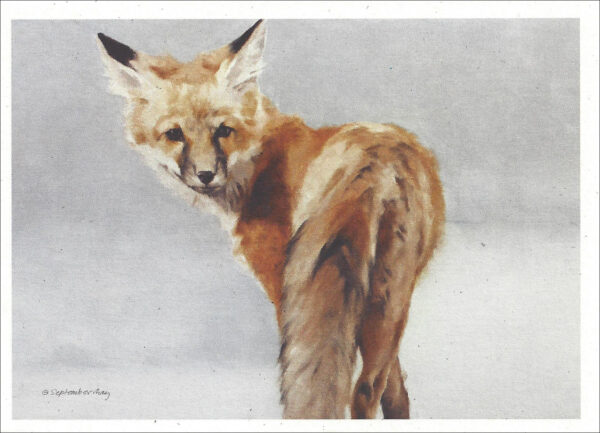 VN993 Universal Mystic - Red Fox