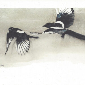 VN996 Freedom's Song - Magpies