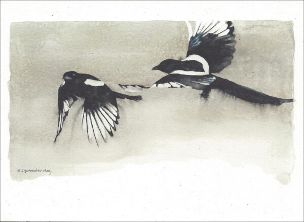 VN996 Freedom's Song - Magpies