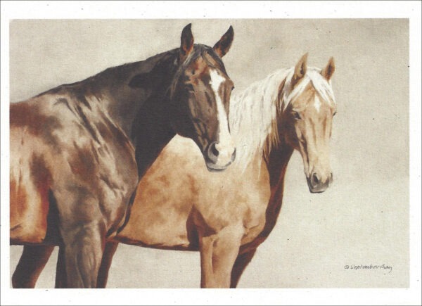 VN997 Bonnie and Dude - Horse Notecard