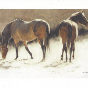 VN998 Crane Creek light - Horses Notecard