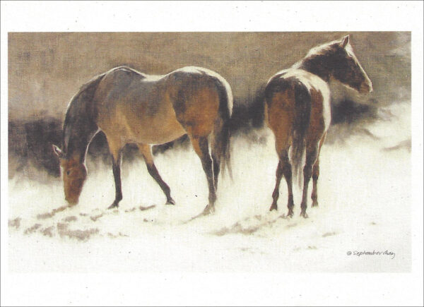 VN998 Crane Creek light - Horses Notecard