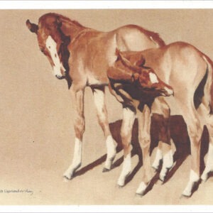 VN999 Rosebud's Delight - Horse Notecard