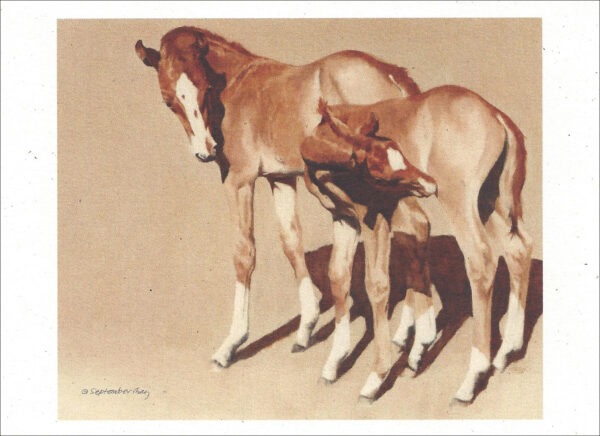 VN999 Rosebud's Delight - Horse Notecard