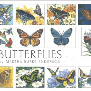 ABB12 Butterflies Assortment Box