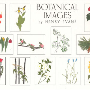 EBB12 Botanical Images Assortment Box