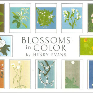 EBC12 Blossoms in Color Assortment Box