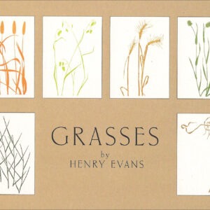 EBG12 Grasses Assortment Box