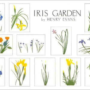 EBIG12 Iris Garden Assortment Box