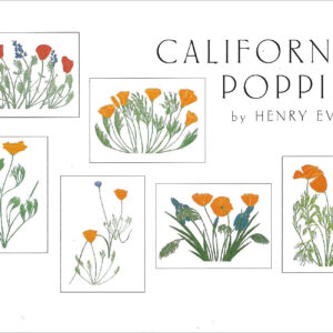 EBP California Poppies Assortment Box