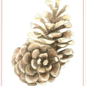 HC441 Pine Cones