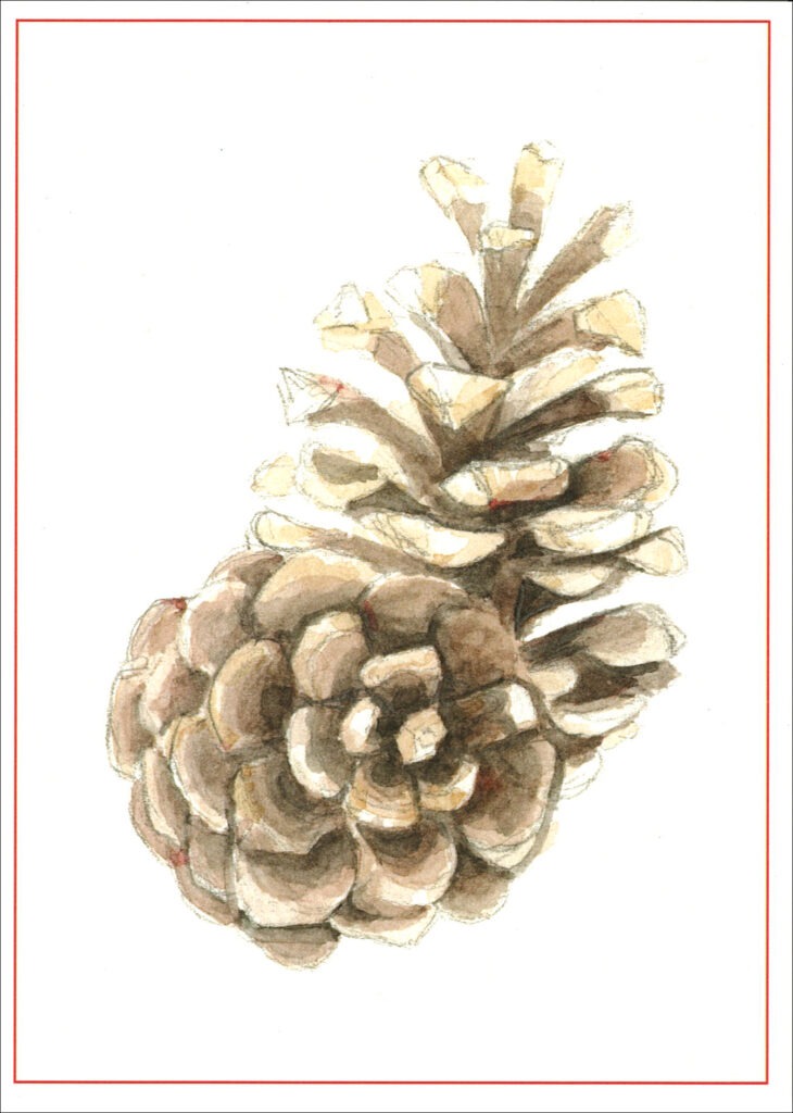 HC441 Pine Cones