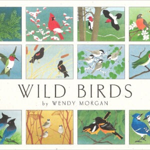 NBB12 Wild Birds Assortment Box