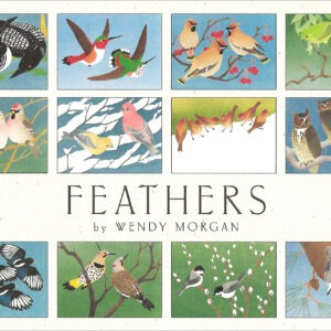 NBF12 Feathers Assortment Box