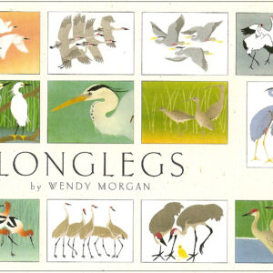 NBL12 Longlegs Assortment Box