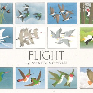 NBLF12 Flight Assortment Box