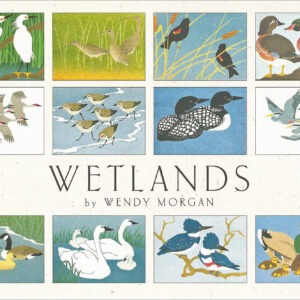 NBW12 Wetlands Assortment Box