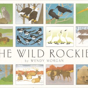 NBWR12 Wild Rockies Assortment Box