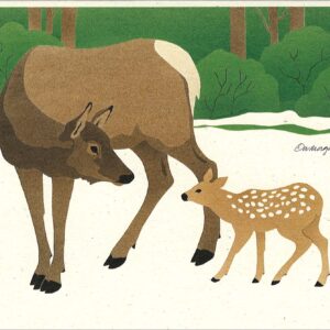 NC148 Cow Elk and Calf Notecard
