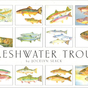SBFT12 Freshwater Trout Assortment Box