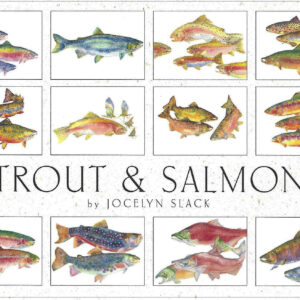 SBT12 Trout and Salmon Assortment Box