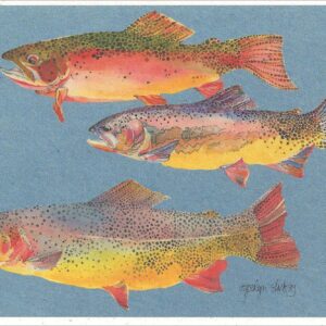 SN503 Cutthroat Trout Notecard