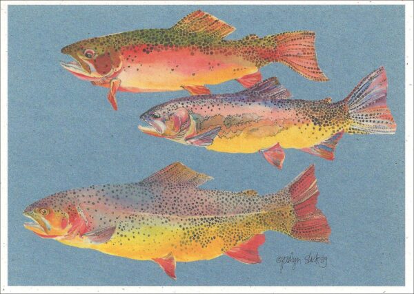 SN503 Cutthroat Trout Notecard