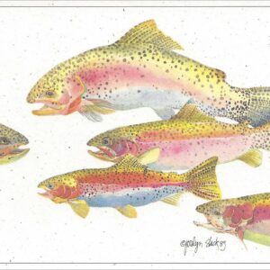 SN504 Rainbow Trout Notecard