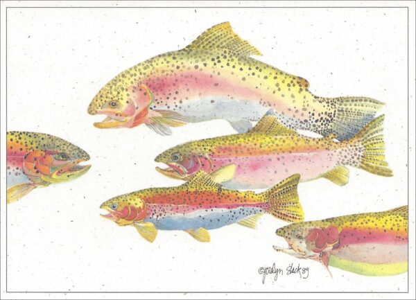 SN504 Rainbow Trout Notecard