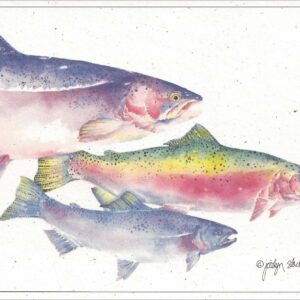 SN509 Steelhead Notecard