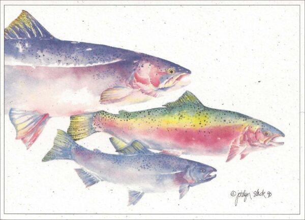 SN509 Steelhead Notecard