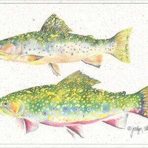 SN510 Brook Trout Notecard